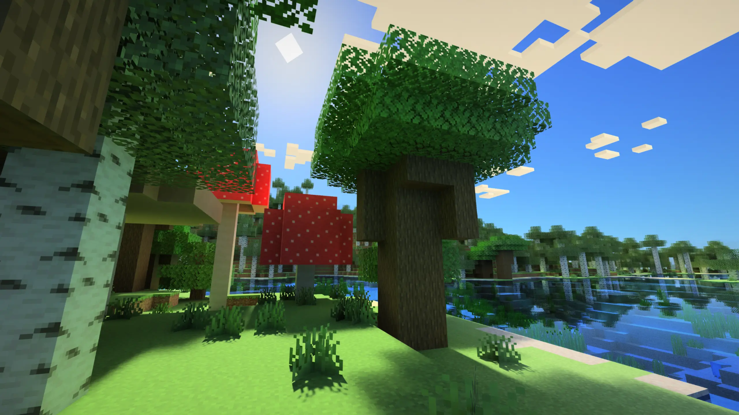 Ray Tracing